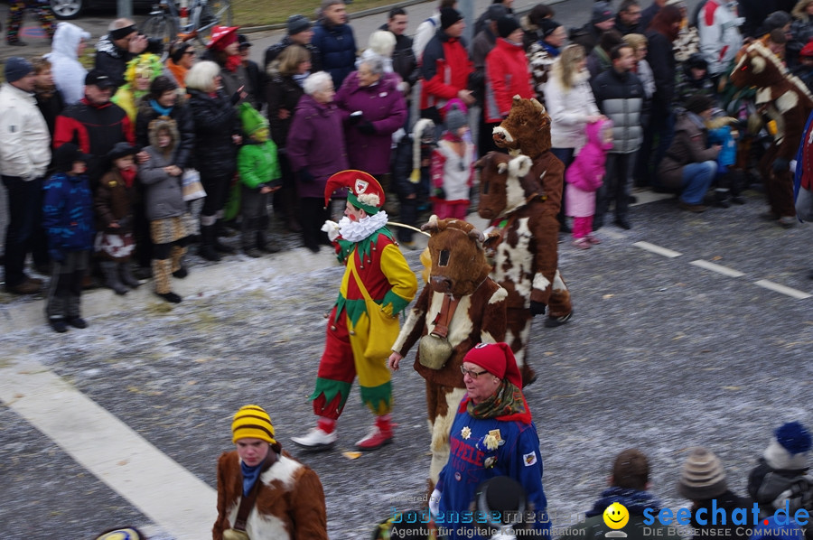 Narrentreffen: Rielasingen am Bodensee, 29.01.2012