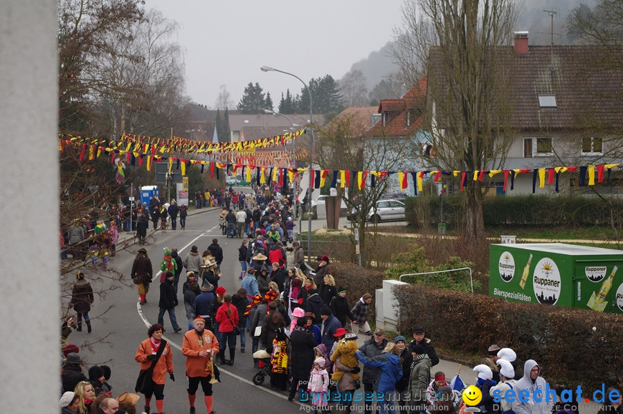 Narrentreffen: Rielasingen am Bodensee, 29.01.2012