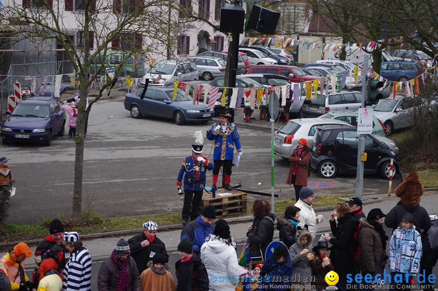 Narrentreffen: Rielasingen am Bodensee, 29.01.2012