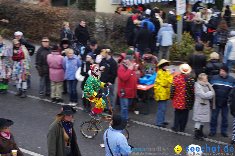 Narrentreffen: Rielasingen am Bodensee, 29.01.2012