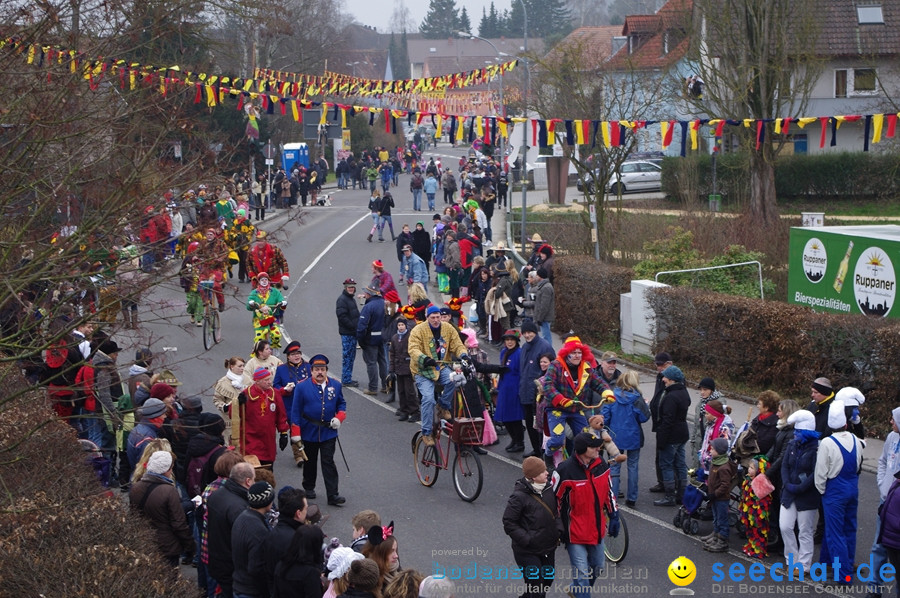 Narrentreffen: Rielasingen am Bodensee, 29.01.2012