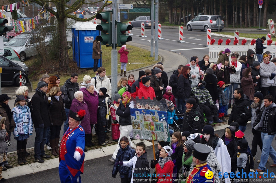 Narrentreffen: Rielasingen am Bodensee, 29.01.2012