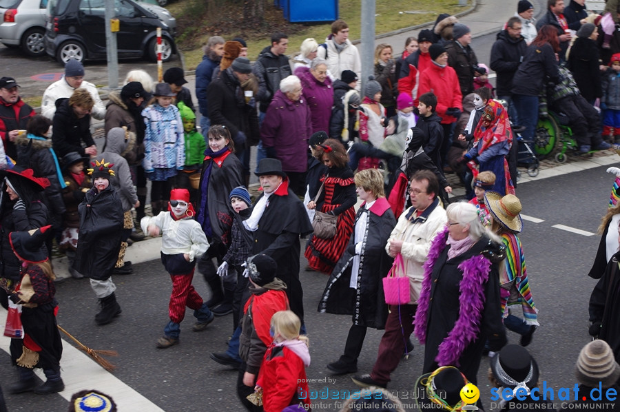 Narrentreffen: Rielasingen am Bodensee, 29.01.2012