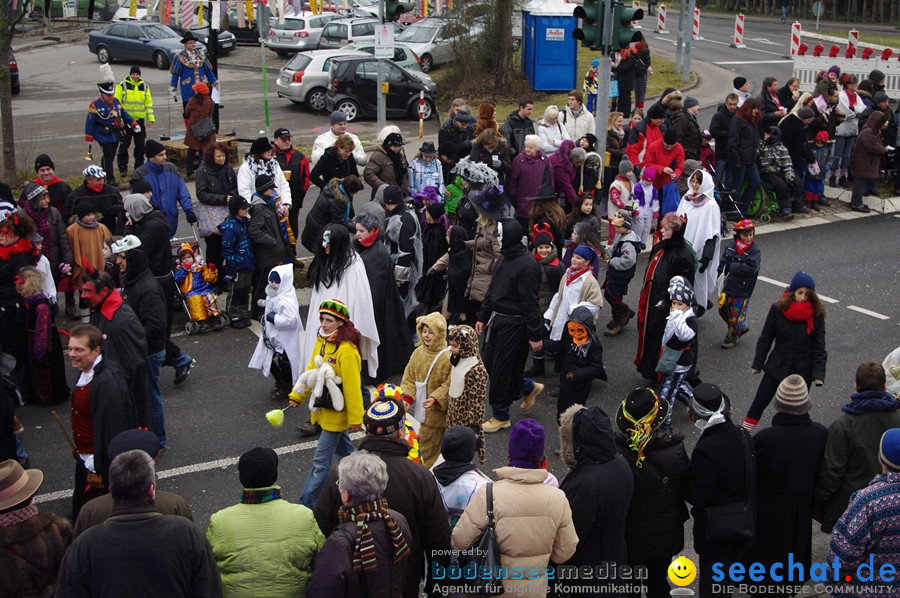 Narrentreffen: Rielasingen am Bodensee, 29.01.2012