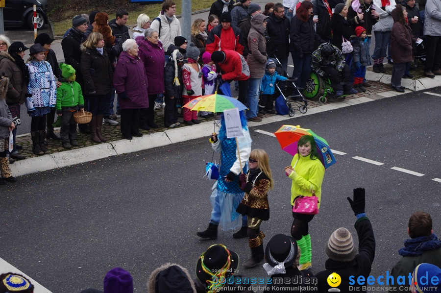 Narrentreffen: Rielasingen am Bodensee, 29.01.2012