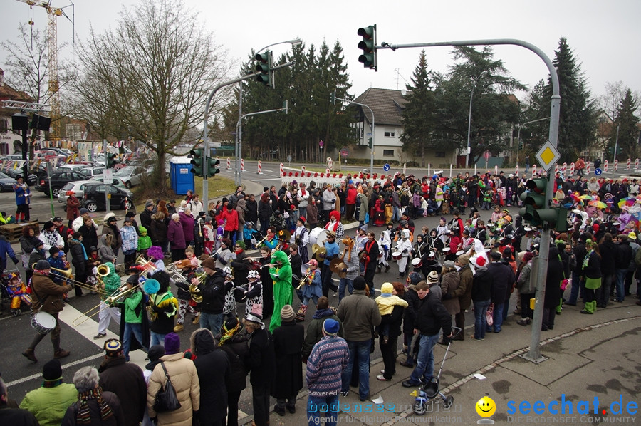 Narrentreffen: Rielasingen am Bodensee, 29.01.2012