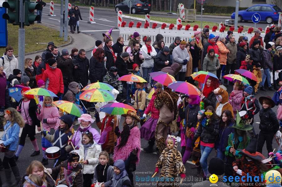 Narrentreffen: Rielasingen am Bodensee, 29.01.2012