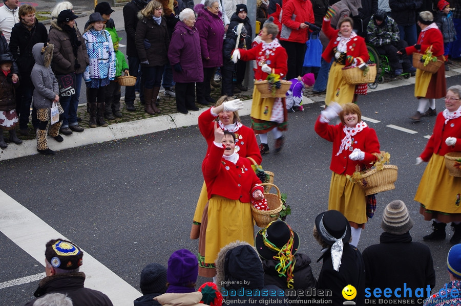 Narrentreffen: Rielasingen am Bodensee, 29.01.2012