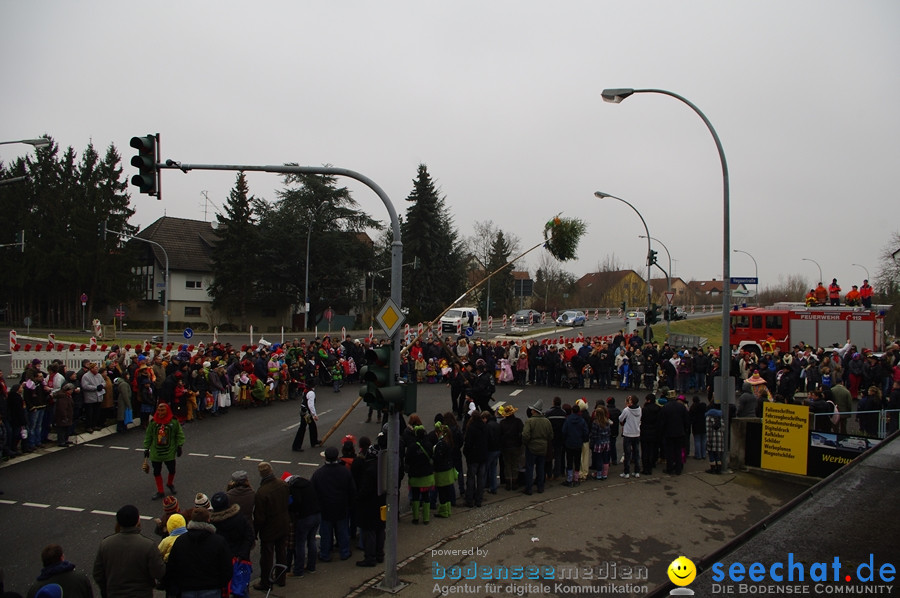 Narrentreffen: Rielasingen am Bodensee, 29.01.2012