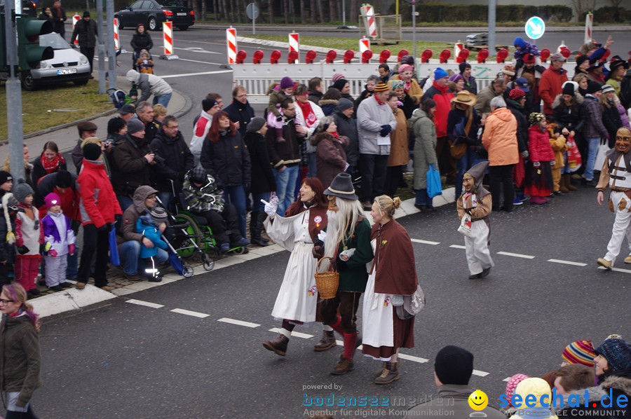 Narrentreffen: Rielasingen am Bodensee, 29.01.2012