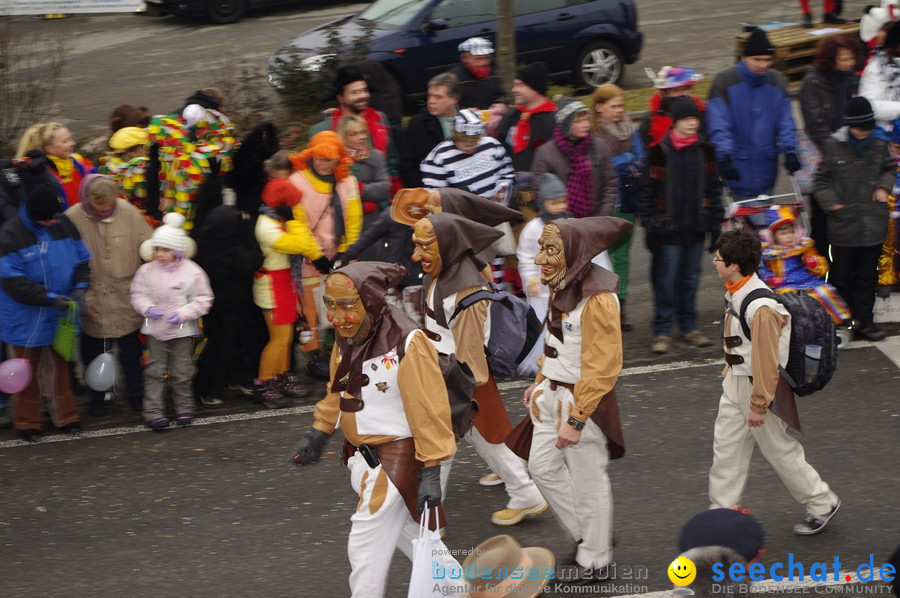 Narrentreffen: Rielasingen am Bodensee, 29.01.2012