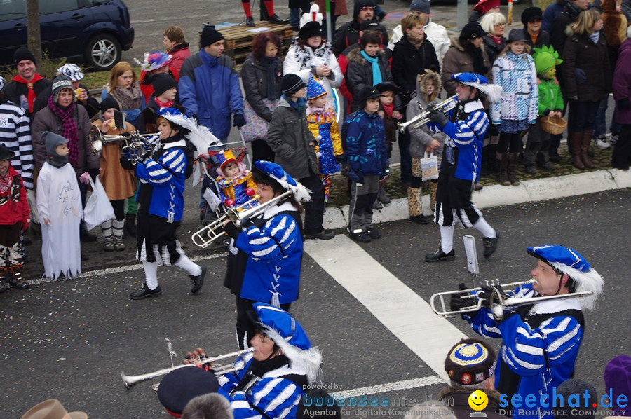 Narrentreffen: Rielasingen am Bodensee, 29.01.2012