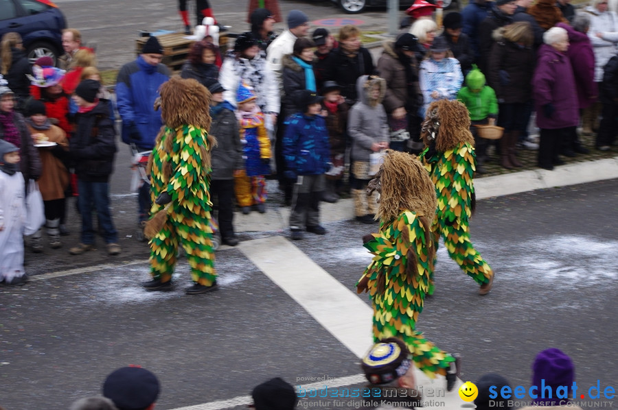 Narrentreffen: Rielasingen am Bodensee, 29.01.2012