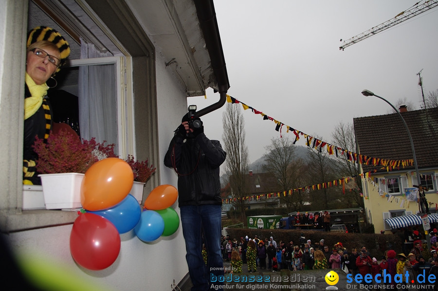 Narrentreffen: Rielasingen am Bodensee, 29.01.2012