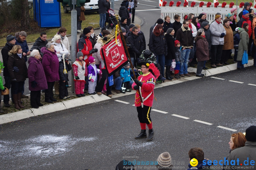 Narrentreffen: Rielasingen am Bodensee, 29.01.2012