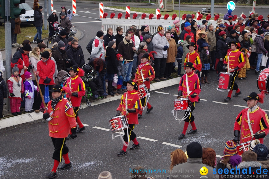 Narrentreffen: Rielasingen am Bodensee, 29.01.2012