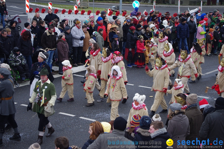 Narrentreffen: Rielasingen am Bodensee, 29.01.2012