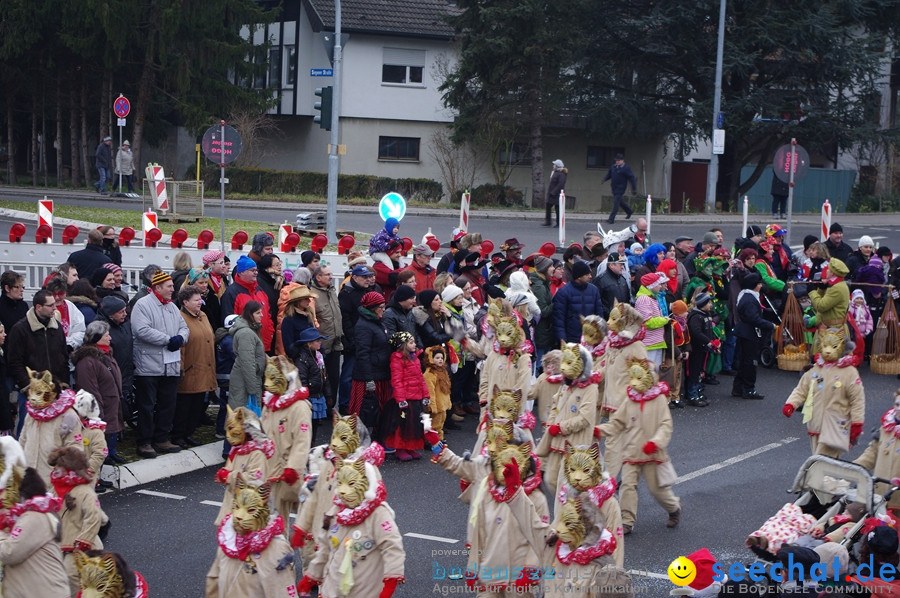 Narrentreffen: Rielasingen am Bodensee, 29.01.2012