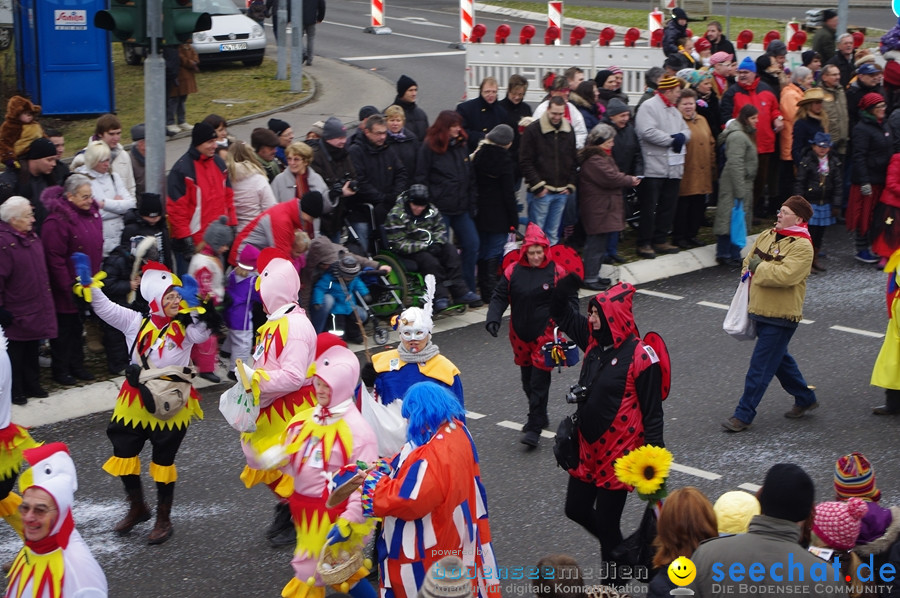 Narrentreffen: Rielasingen am Bodensee, 29.01.2012