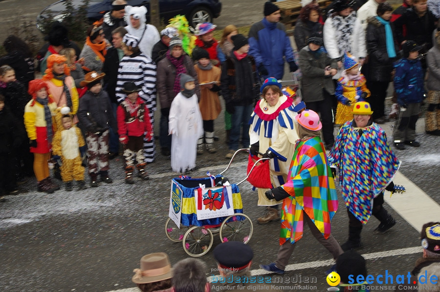 Narrentreffen: Rielasingen am Bodensee, 29.01.2012