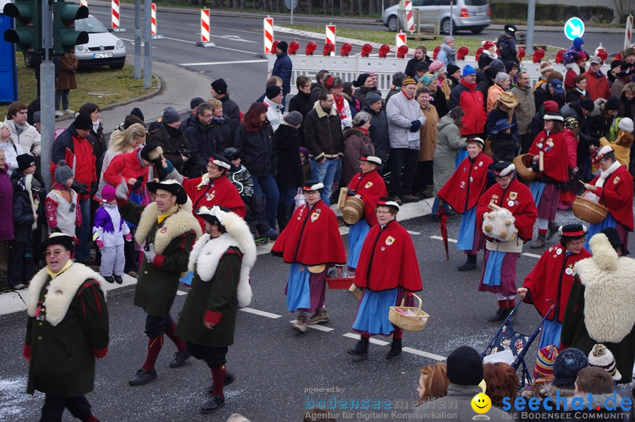 Narrentreffen: Rielasingen am Bodensee, 29.01.2012