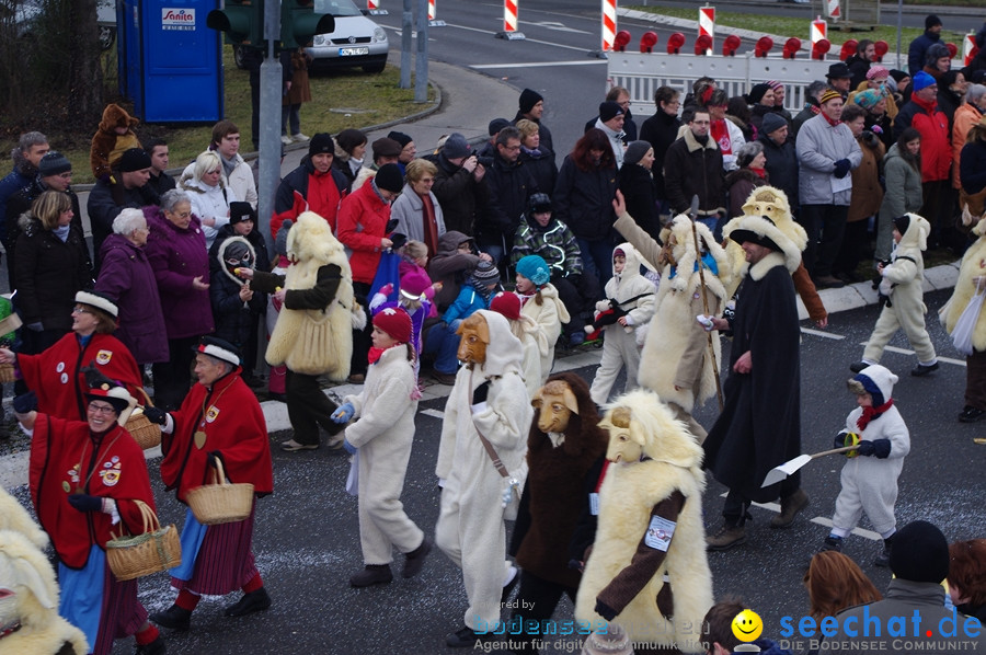 Narrentreffen: Rielasingen am Bodensee, 29.01.2012