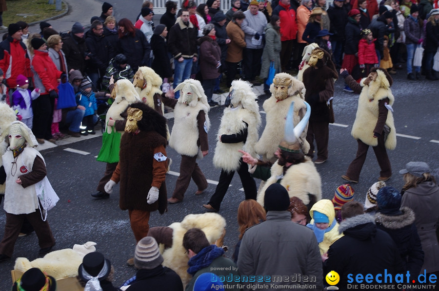 Narrentreffen: Rielasingen am Bodensee, 29.01.2012