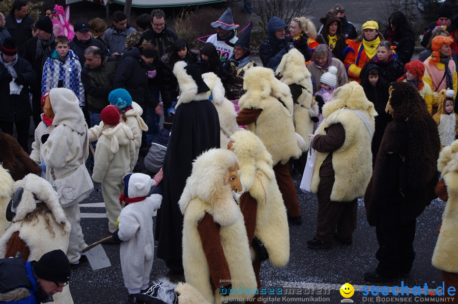 Narrentreffen: Rielasingen am Bodensee, 29.01.2012