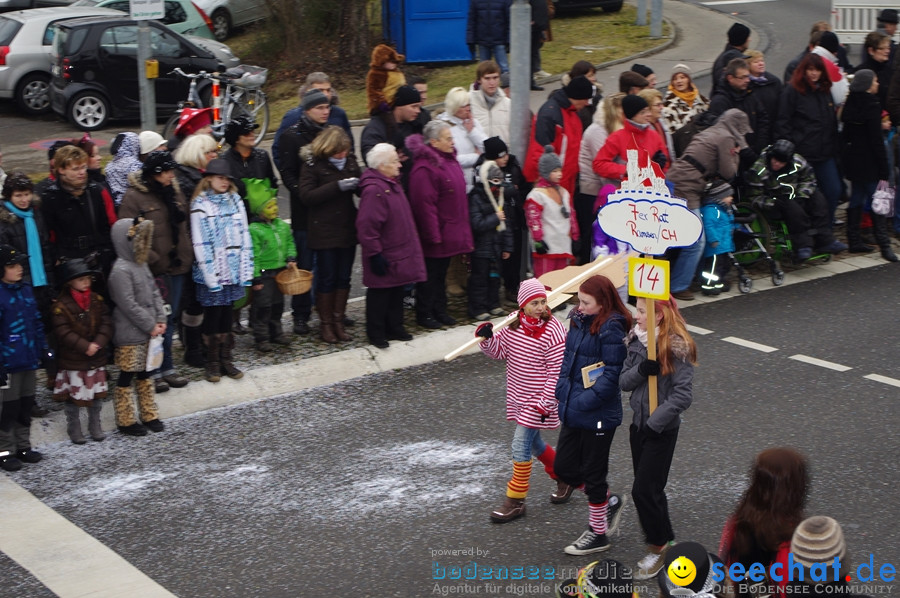 Narrentreffen: Rielasingen am Bodensee, 29.01.2012