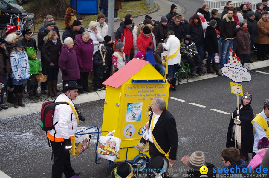 Narrentreffen: Rielasingen am Bodensee, 29.01.2012