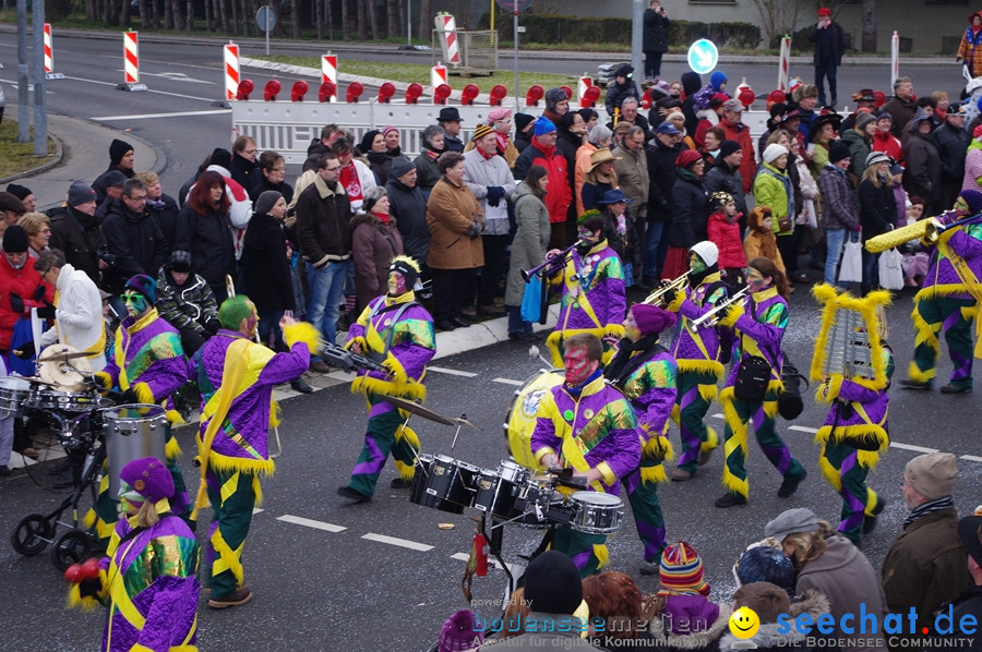 Narrentreffen: Rielasingen am Bodensee, 29.01.2012