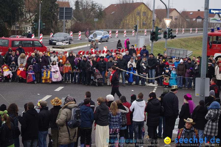 Narrentreffen: Rielasingen am Bodensee, 29.01.2012