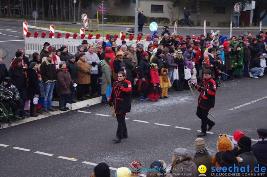 Narrentreffen: Rielasingen am Bodensee, 29.01.2012