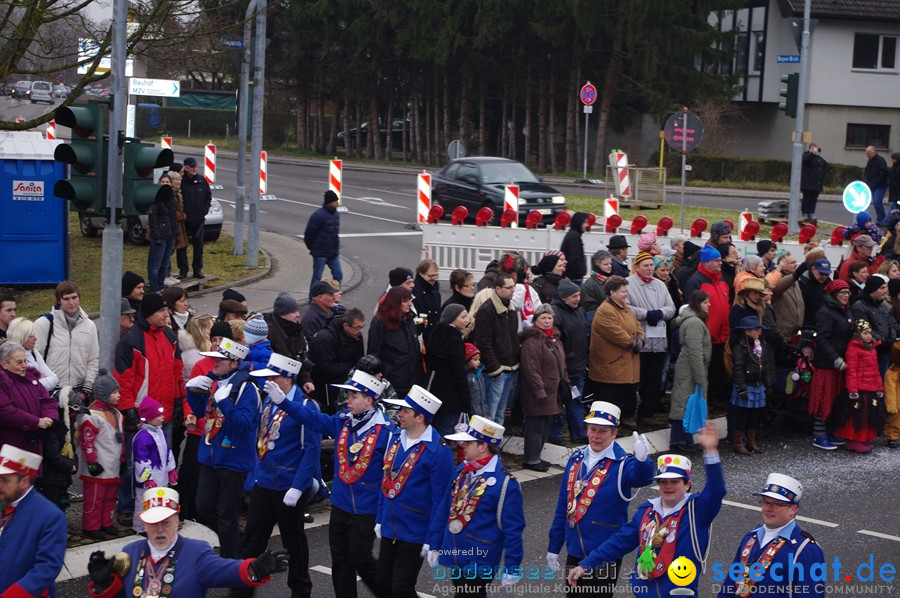 Narrentreffen: Rielasingen am Bodensee, 29.01.2012