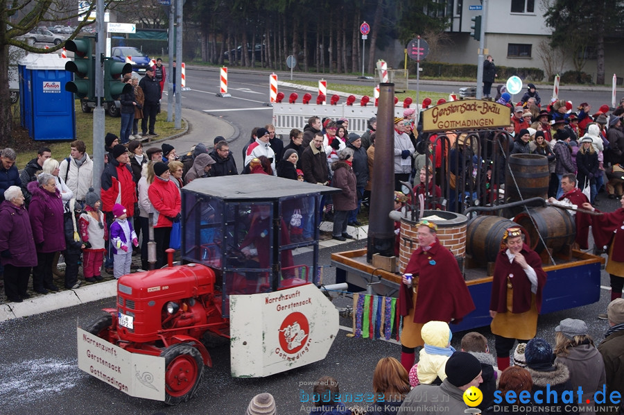 Narrentreffen: Rielasingen am Bodensee, 29.01.2012