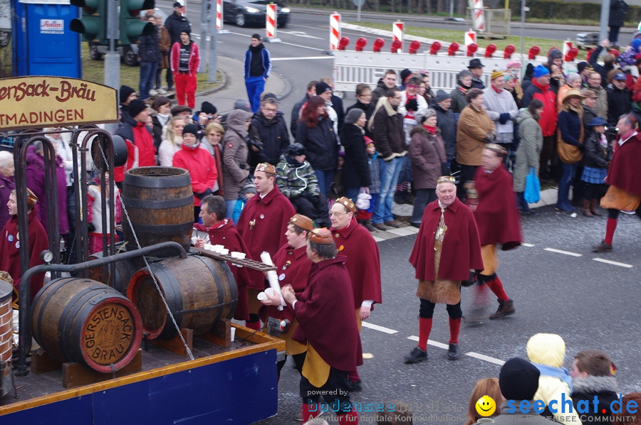 Narrentreffen: Rielasingen am Bodensee, 29.01.2012