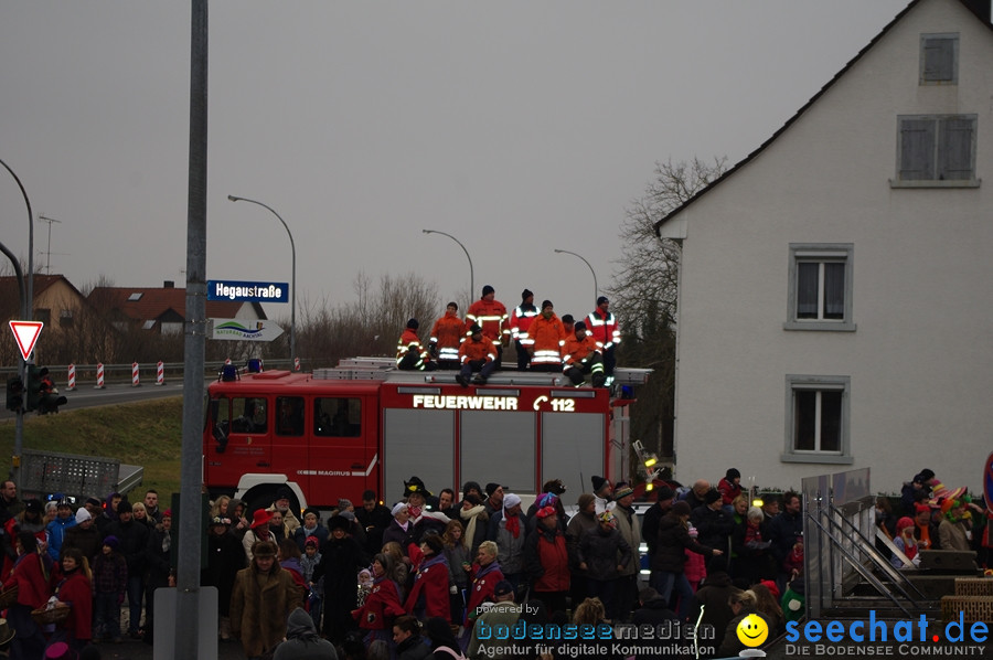 Narrentreffen: Rielasingen am Bodensee, 29.01.2012