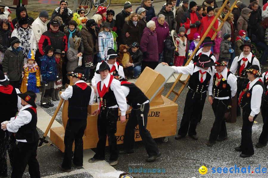 Narrentreffen: Rielasingen am Bodensee, 29.01.2012