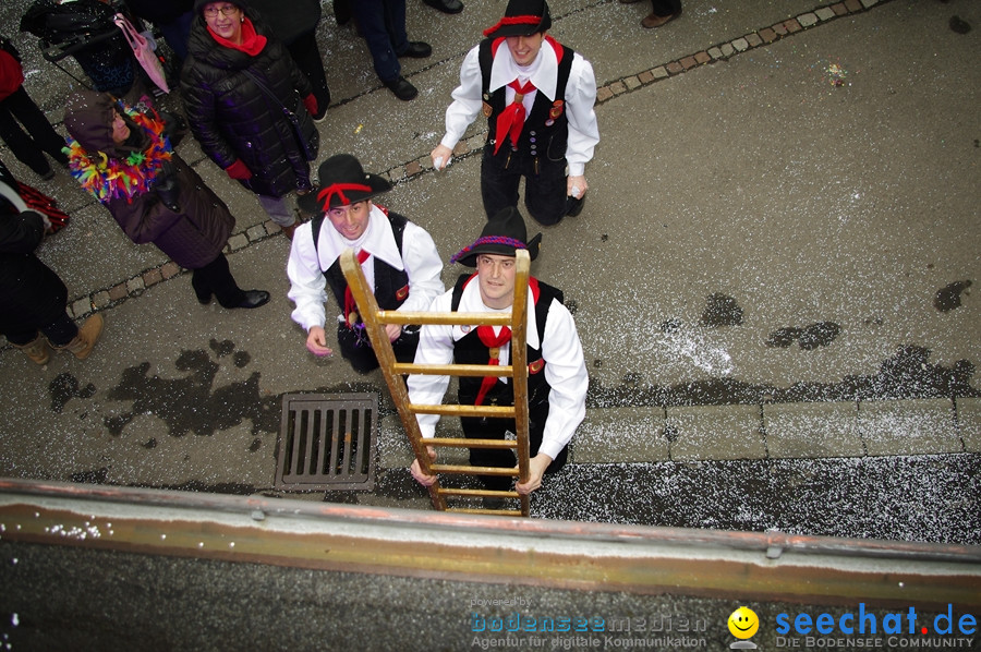 Narrentreffen: Rielasingen am Bodensee, 29.01.2012