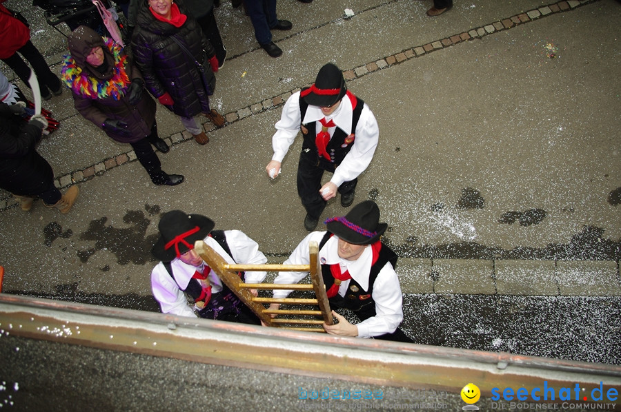 Narrentreffen: Rielasingen am Bodensee, 29.01.2012