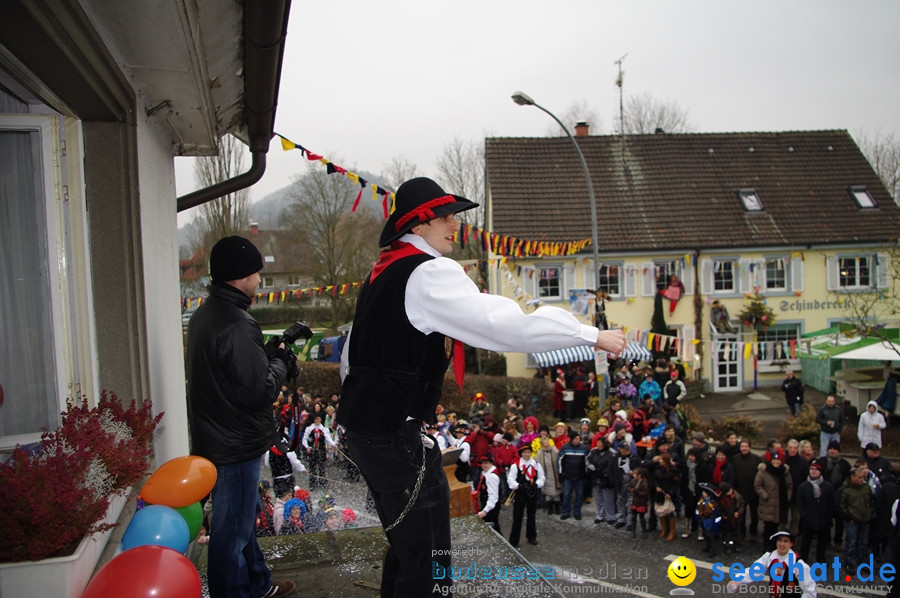 Narrentreffen: Rielasingen am Bodensee, 29.01.2012