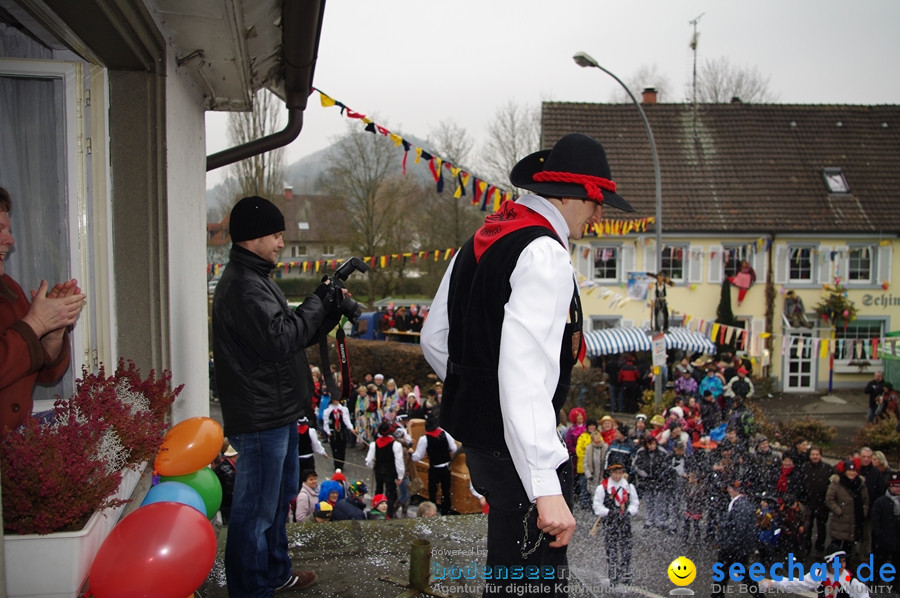 Narrentreffen: Rielasingen am Bodensee, 29.01.2012