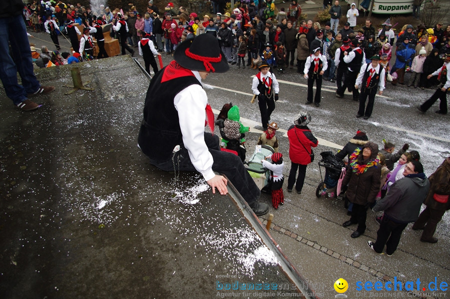 Narrentreffen: Rielasingen am Bodensee, 29.01.2012