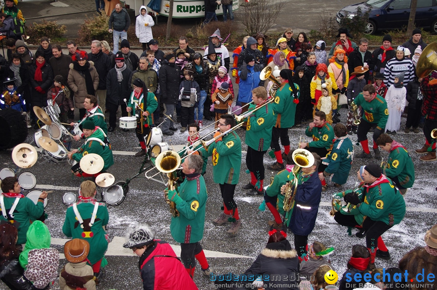 Narrentreffen: Rielasingen am Bodensee, 29.01.2012