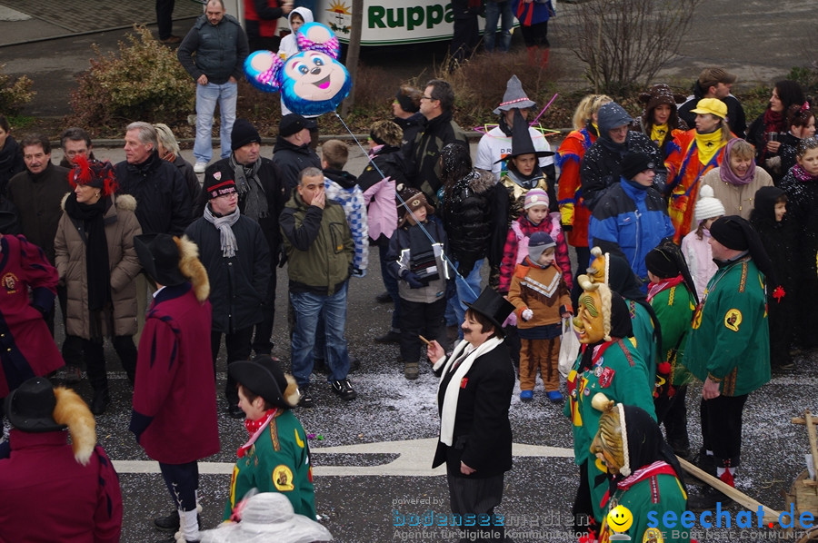 Narrentreffen: Rielasingen am Bodensee, 29.01.2012