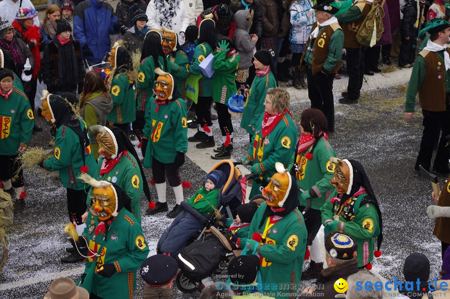 Narrentreffen: Rielasingen am Bodensee, 29.01.2012