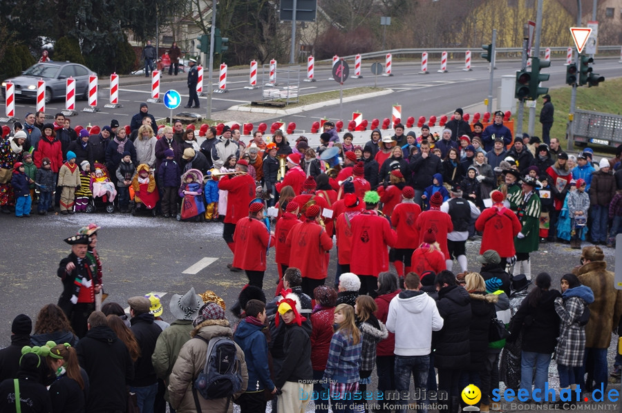 Narrentreffen: Rielasingen am Bodensee, 29.01.2012