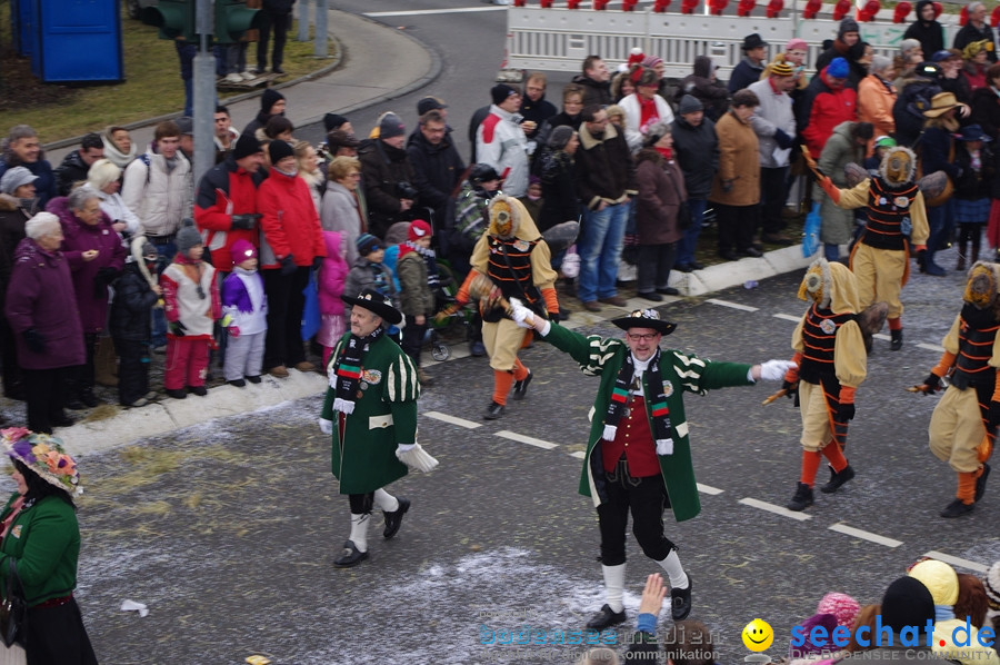 Narrentreffen: Rielasingen am Bodensee, 29.01.2012