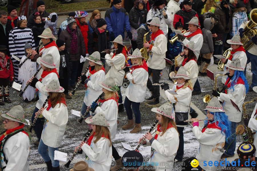 Narrentreffen: Rielasingen am Bodensee, 29.01.2012