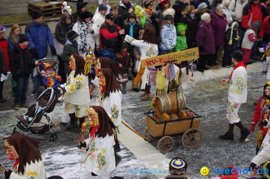 Narrentreffen: Rielasingen am Bodensee, 29.01.2012